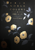 NOBLE COLORS Cover